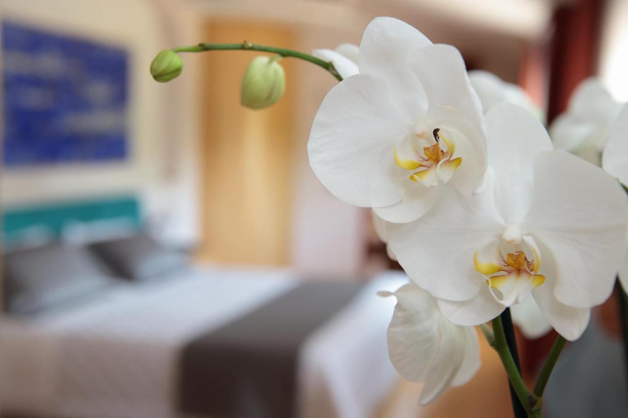Hotel Conta Taste The Experience Pieve di Soligo Zewnętrze zdjęcie